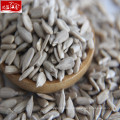 New arrival wholesale high quality sunflower seeds kernal